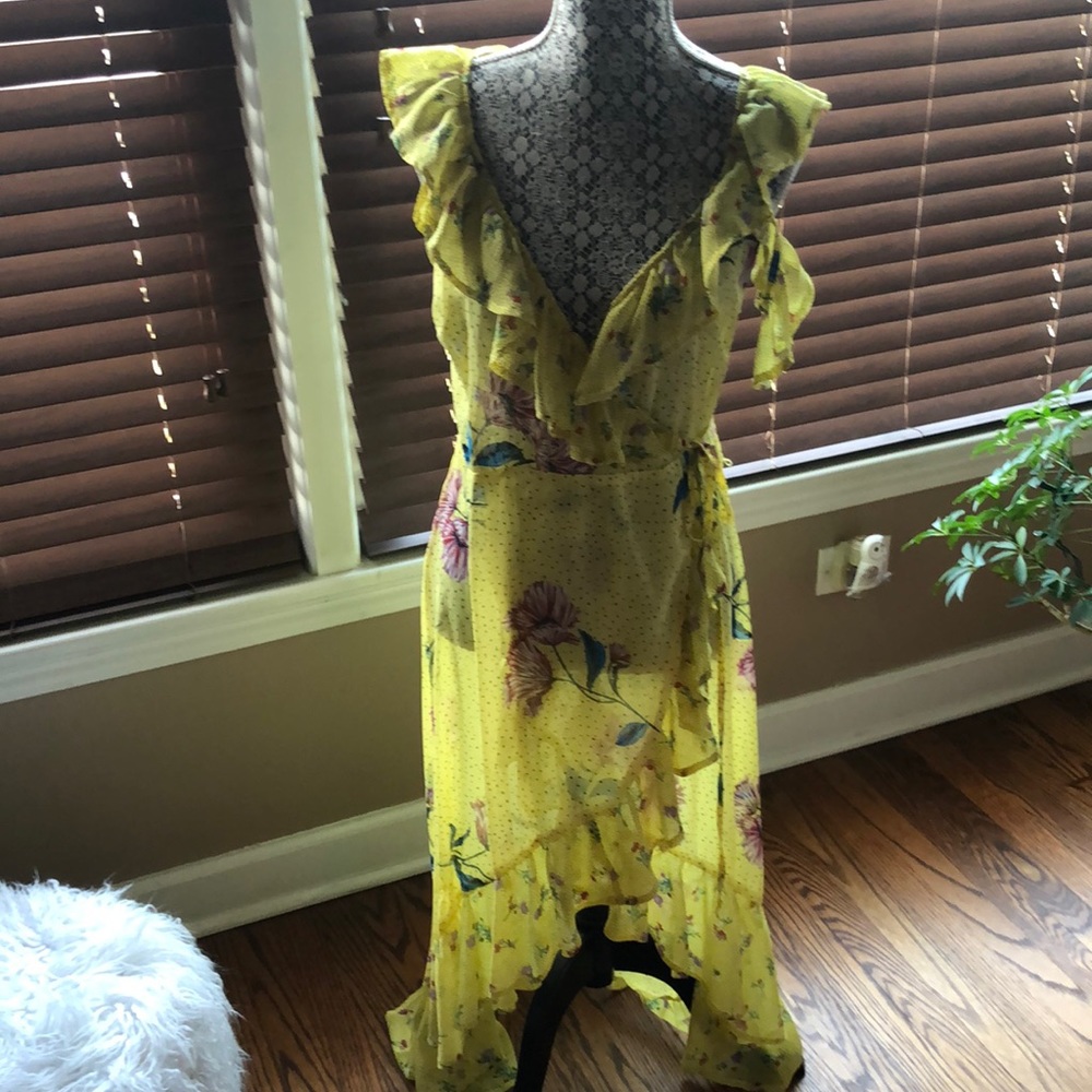 Sheer maxi dress